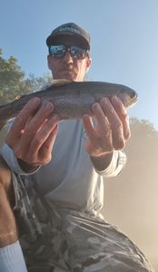 Rainbow trout fishing in MO