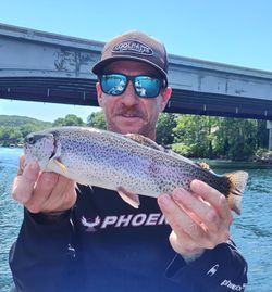 One rainbow trout fish caught in MO