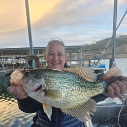 Catch of the day: Rock Bass fish from MO