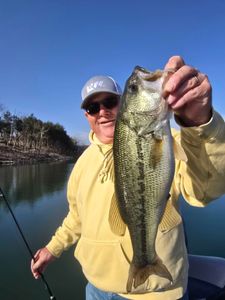 Photograph of a 41-inch Spotted Bass caught while fishing in MO