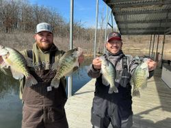 4 white crappie fish caught by 3 people in Pittsburg