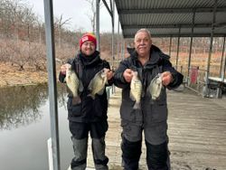 Three crappie fish caught in Pittsburg