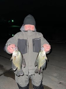 Two crappie fish caught in Missouri