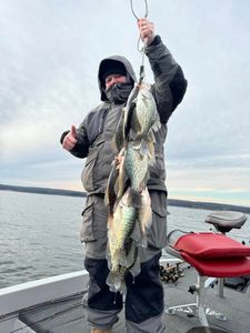 Two crappie fish caught in MO