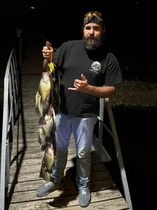 Two fish caught while fishing in MO