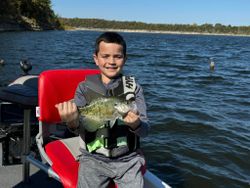 A white crappie fish caught during fishing in Missouri
