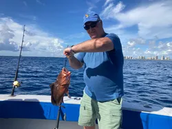 Red Grouper fishing in Toronto