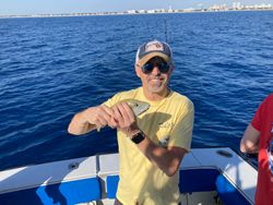 White Grunt fish caught while fishing in Toronto