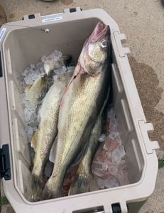 Two fishermen at Woodland Beach with their fishing gear