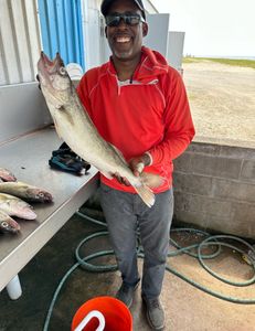 Fishing in MI with 1 fish
