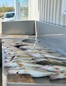 3 fishing rods at Woodland Beach