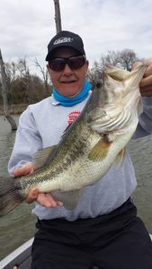 Angler fishing in TX