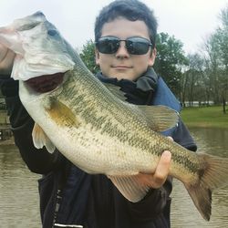 Largemouth bass caught in Alba