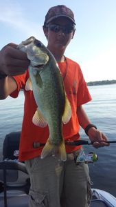 Caught a largemouth bass in Alba