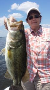 Largemouth bass caught in Alba