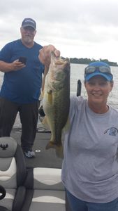Largemouth Bass caught in Alba, fishing