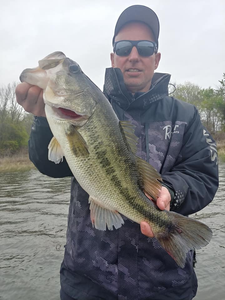Largemouth bass caught while fishing in Alba