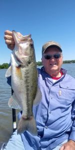 Largemouth Bass caught while fishing in TX