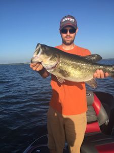Largemouth Bass fishing in TX