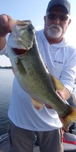 Largemouth Bass caught in TX