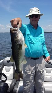 Largemouth Bass caught in TX