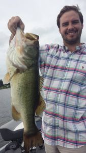 Largemouth Bass caught in TX