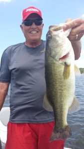Largemouth bass caught in TX