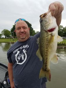 Largemouth bass caught in TX