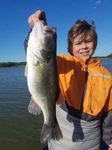 Image of a 24-inch largemouth bass caught while fishing in Alba