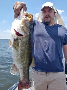 A massive largemouth bass caught in Alba