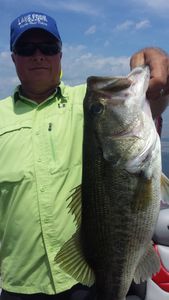 Massive largemouth bass caught while fishing in Alba