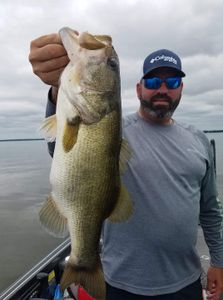 Anglers delight in Lake Fork: Bass 