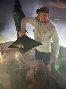 Patience rewarded—a whip ray surfaces! 