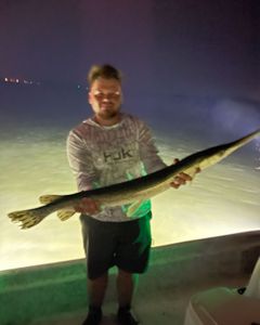 Catch of the day: Massive Atlantic Needlefish in Panama City Beach