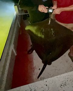 Fishing in the beautiful state of Florida