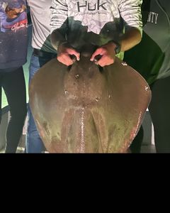 A fishing trip in FL