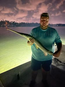 Photograph of a longnose gar fish caught during fishing in Panama City Beach