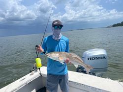 A single angler holding a 24-inch catch in FL