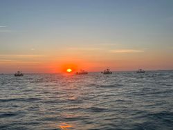 Scenic landscape with fishing rods and reels in Florida