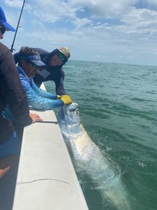 Angler fishing in Placida