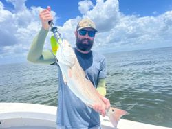 Redfish caught in FL
