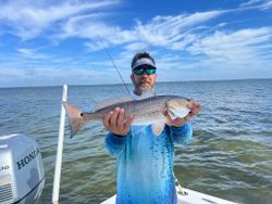 Redfish measuring 27 inches caught while fishing in FL