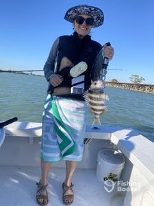 Sheepshead fish caught in FL