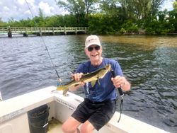 Snook fish caught while fishing in Florida
