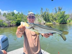 Snook caught while fishing in Placida