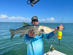 Snook fish caught in Placida