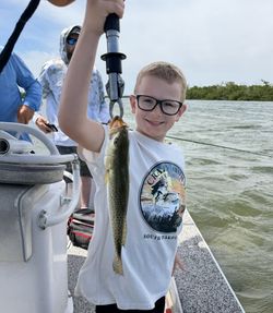 Speckled trout caught while fishing in Placida FL