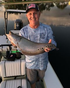 A lone angler fishing in FL