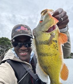 Angler with a fishing rod stands in FL