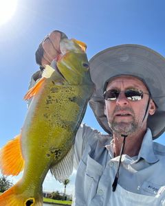 Angler with 17-inch fish caught in FL